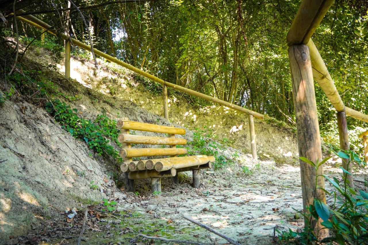 1870 Bed & Breakfast Arpino Zewnętrze zdjęcie